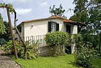 Funchal Madeira house to rent. Villa cottage for rental.